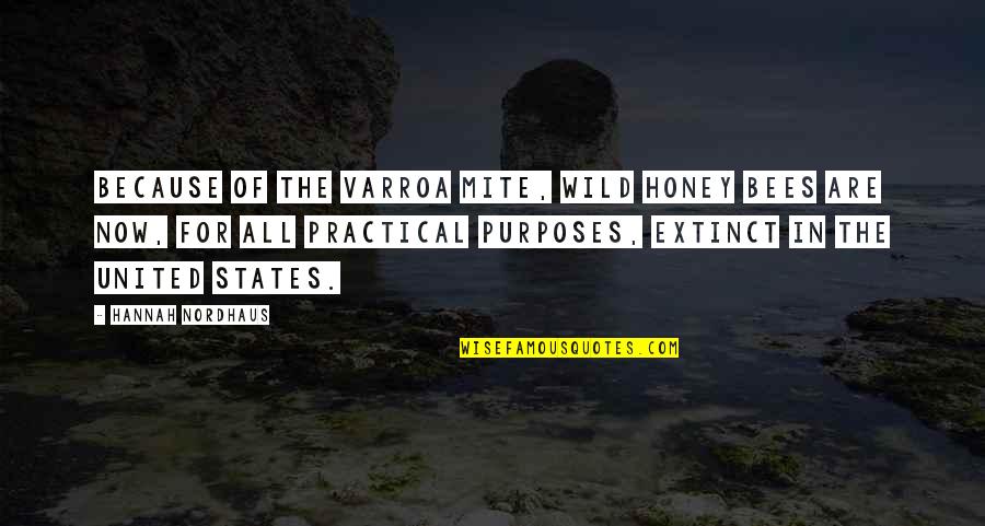 Varroa Quotes By Hannah Nordhaus: Because of the varroa mite, wild honey bees