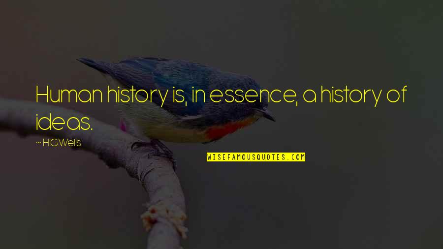 Vartkes Mahdessian Quotes By H.G.Wells: Human history is, in essence, a history of