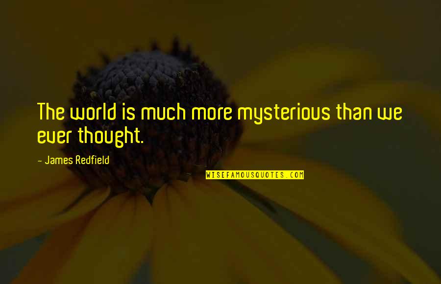 Varybootyful Quotes By James Redfield: The world is much more mysterious than we