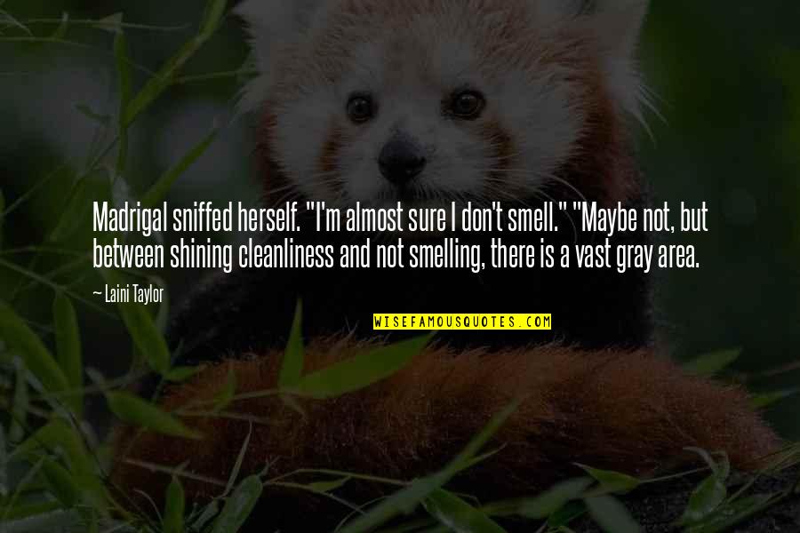 Vas A Llorar Quotes By Laini Taylor: Madrigal sniffed herself. "I'm almost sure I don't
