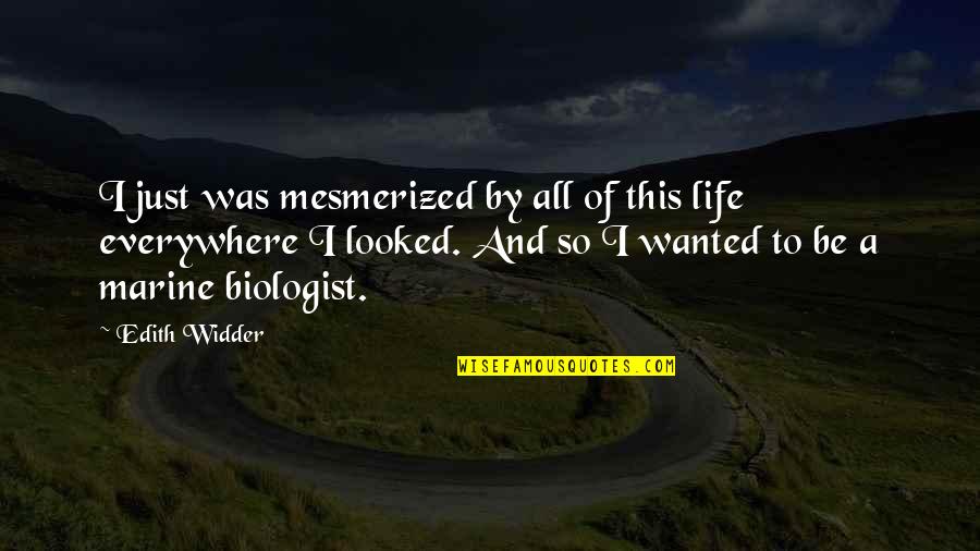 Vasbinders Quotes By Edith Widder: I just was mesmerized by all of this Vasbinders Quotes By Edith Widder: I just was mesmerized by all of this