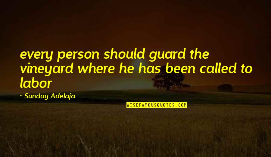 Vasco De Balboa Famous Quotes By Sunday Adelaja: every person should guard the vineyard where he