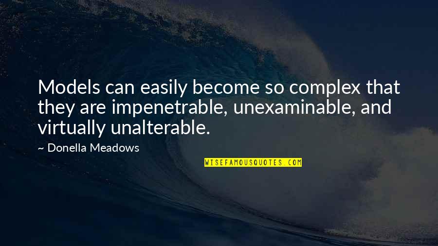 Vashawn Quotes By Donella Meadows: Models can easily become so complex that they Vashawn Quotes By Donella Meadows: Models can easily become so complex that they