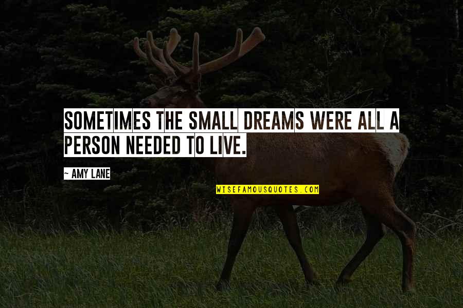 Vashi Pin Quotes By Amy Lane: Sometimes the small dreams were all a person