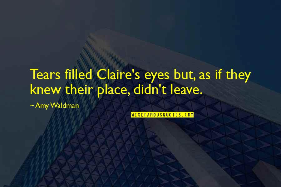 Vashlovanis Naxevar Udabno Quotes By Amy Waldman: Tears filled Claire's eyes but, as if they