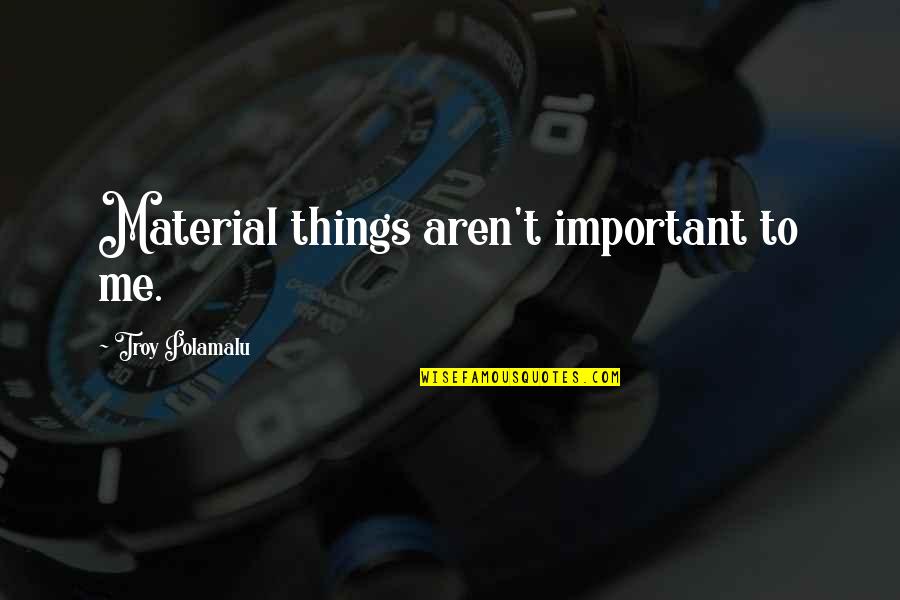 Vashty Cormier Quotes By Troy Polamalu: Material things aren't important to me. Vashty Cormier Quotes By Troy Polamalu: Material things aren't important to me.