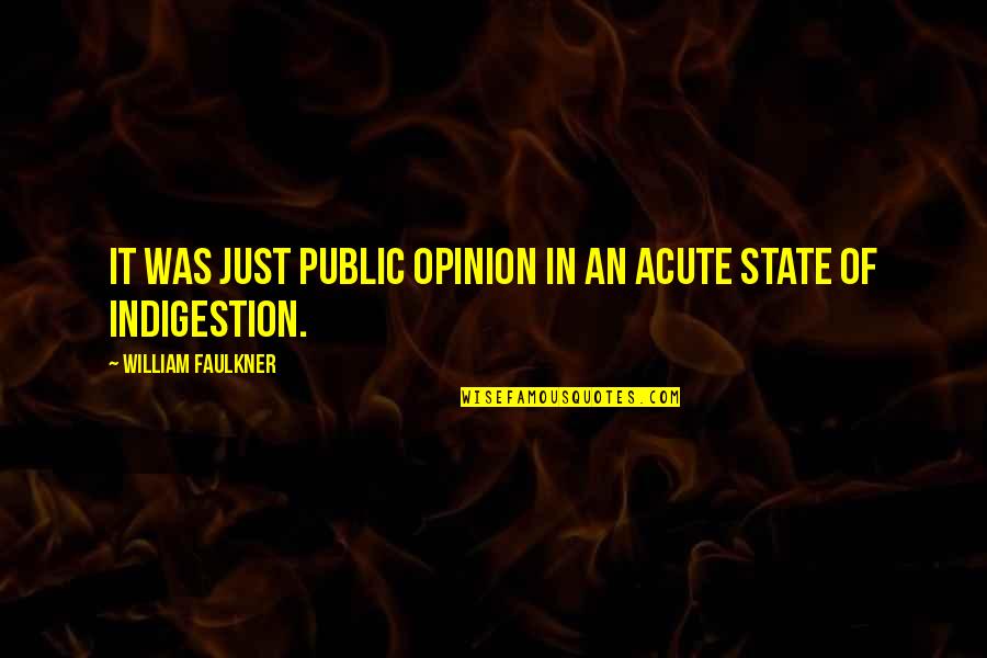 Vasili Quotes By William Faulkner: It was just public opinion in an acute
