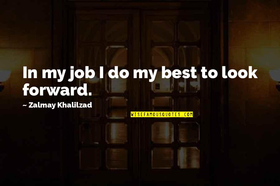 Vasilij Zajcev Quotes By Zalmay Khalilzad: In my job I do my best to Vasilij Zajcev Quotes By Zalmay Khalilzad: In my job I do my best to