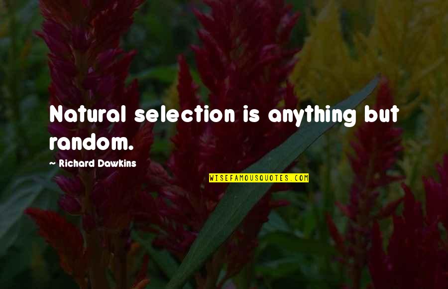 Vauchelles Quotes By Richard Dawkins: Natural selection is anything but random. Vauchelles Quotes By Richard Dawkins: Natural selection is anything but random.