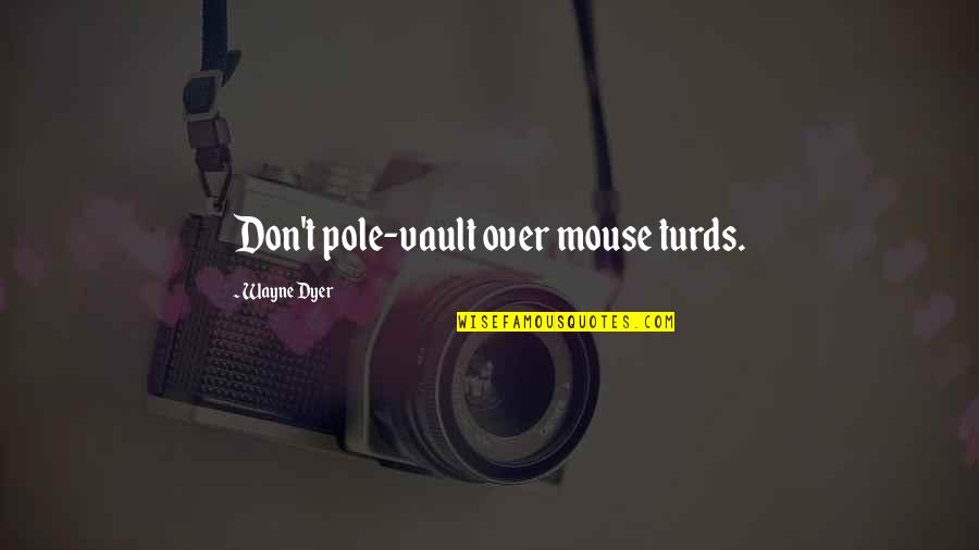 Vault Quotes By Wayne Dyer: Don't pole-vault over mouse turds.