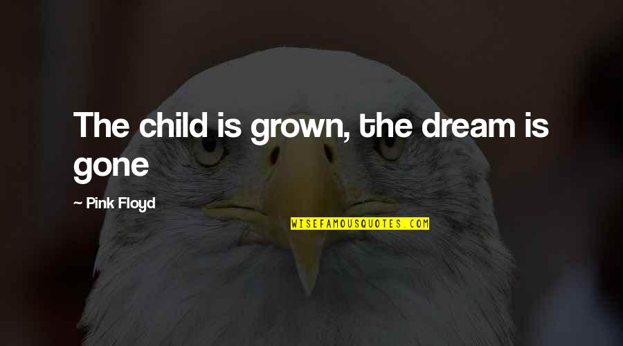 Vaundas Glass Quotes By Pink Floyd: The child is grown, the dream is gone Vaundas Glass Quotes By Pink Floyd: The child is grown, the dream is gone