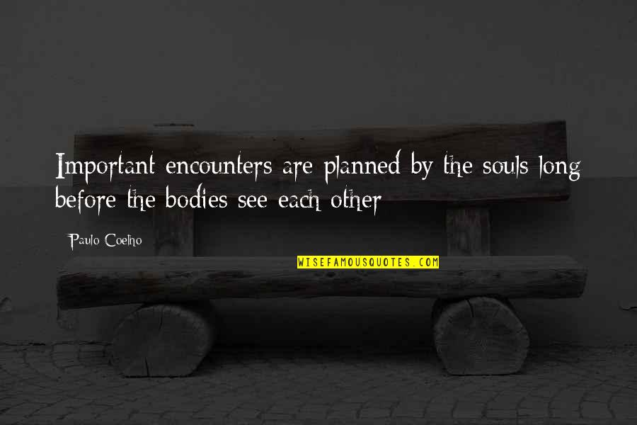 Vavrik Carrollton Quotes By Paulo Coelho: Important encounters are planned by the souls long