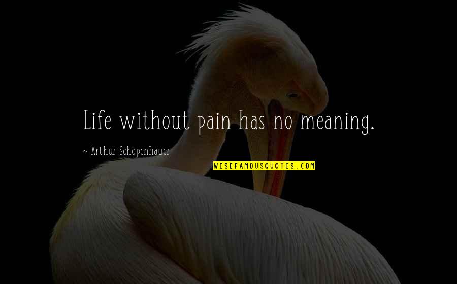 Vayetzei Quotes By Arthur Schopenhauer: Life without pain has no meaning.