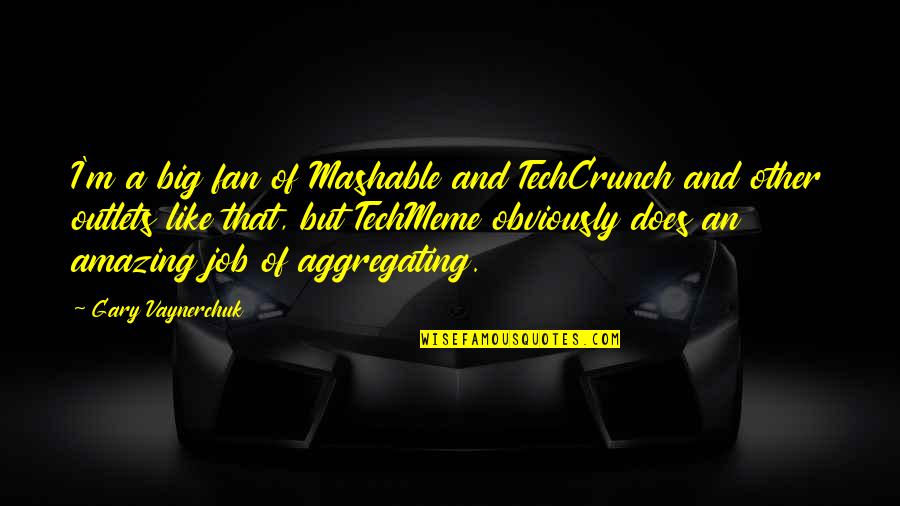 Vaynerchuk Quotes By Gary Vaynerchuk: I'm a big fan of Mashable and TechCrunch
