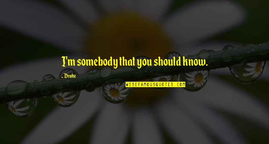 Vazia Vaca Quotes By Drake: I'm somebody that you should know.