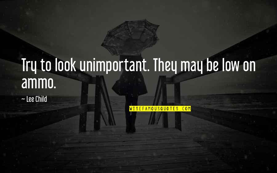 Vbrow Quotes By Lee Child: Try to look unimportant. They may be low