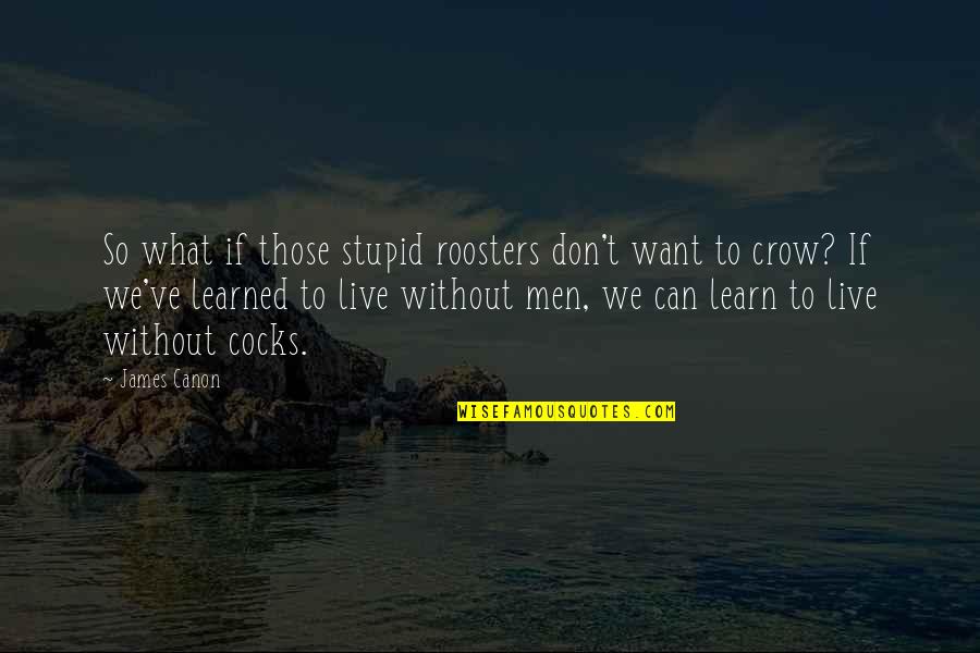 Vce Online Quotes By James Canon: So what if those stupid roosters don't want