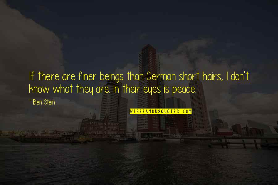 Vcudzom Quotes By Ben Stein: If there are finer beings than German short Vcudzom Quotes By Ben Stein: If there are finer beings than German short