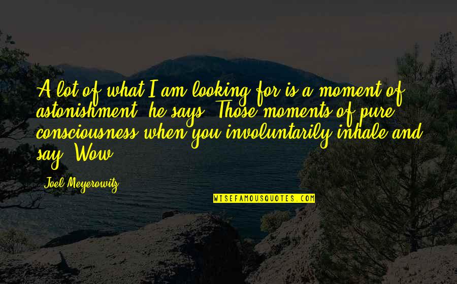 Vcuoffcampushousing Quotes By Joel Meyerowitz: A lot of what I am looking for Vcuoffcampushousing Quotes By Joel Meyerowitz: A lot of what I am looking for
