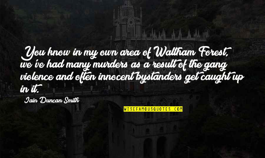 Vcvikings Quotes By Iain Duncan Smith: You know in my own area of Waltham Vcvikings Quotes By Iain Duncan Smith: You know in my own area of Waltham