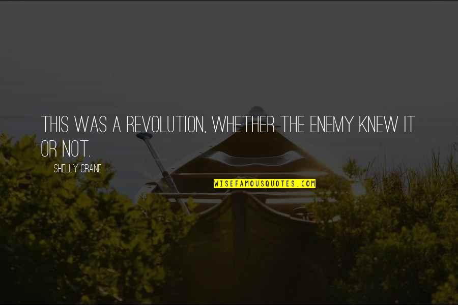Vdeliverfree Quotes By Shelly Crane: This was a revolution, whether the enemy knew