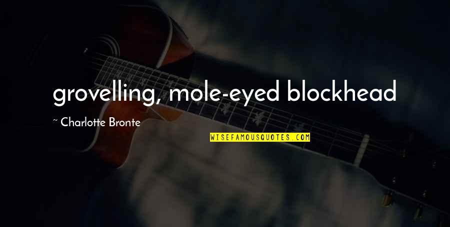 Vdom Fortigate Quotes By Charlotte Bronte: grovelling, mole-eyed blockhead