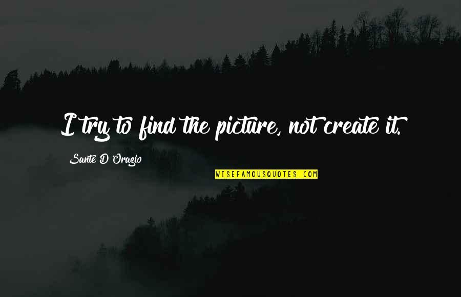 Vecera Od Pavla Orsz Ga Hviezdoslava Quotes By Sante D'Orazio: I try to find the picture, not create Vecera Od Pavla Orsz Ga Hviezdoslava Quotes By Sante D'Orazio: I try to find the picture, not create