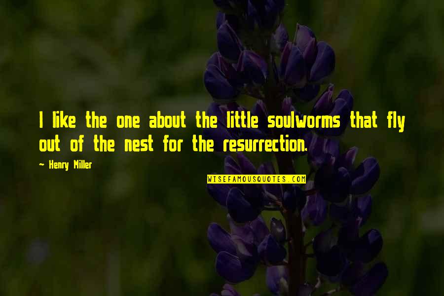 Vecinos Nueva Quotes By Henry Miller: I like the one about the little soulworms Vecinos Nueva Quotes By Henry Miller: I like the one about the little soulworms