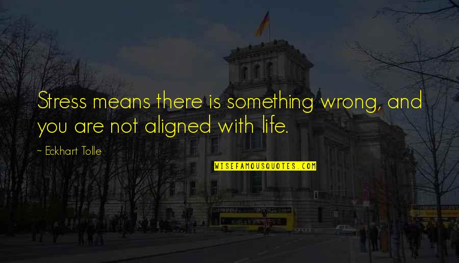 Veckan Aff Rer Quotes By Eckhart Tolle: Stress means there is something wrong, and you