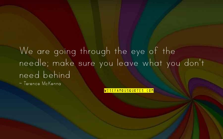 Vector Physics Quotes By Terence McKenna: We are going through the eye of the