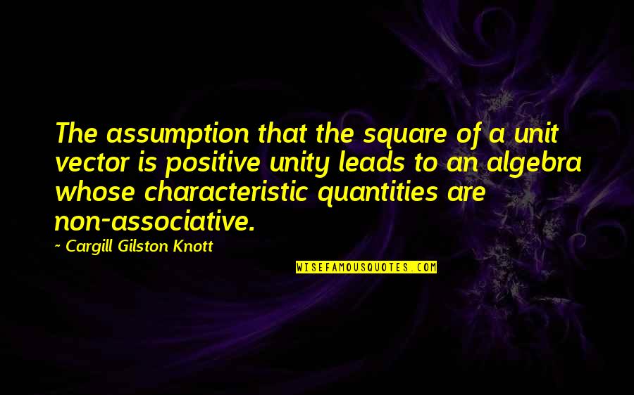 Vector Quotes By Cargill Gilston Knott: The assumption that the square of a unit