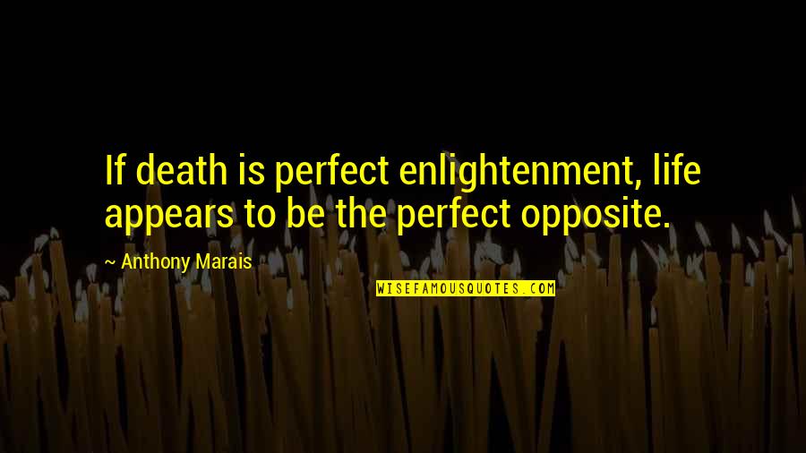 Ved Prakash Goyal Quotes By Anthony Marais: If death is perfect enlightenment, life appears to