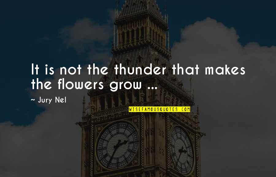 Vedanta Quotes By Jury Nel: It is not the thunder that makes the