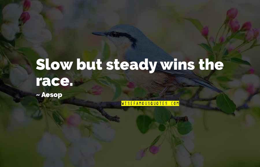 Vedantists Quotes By Aesop: Slow but steady wins the race.