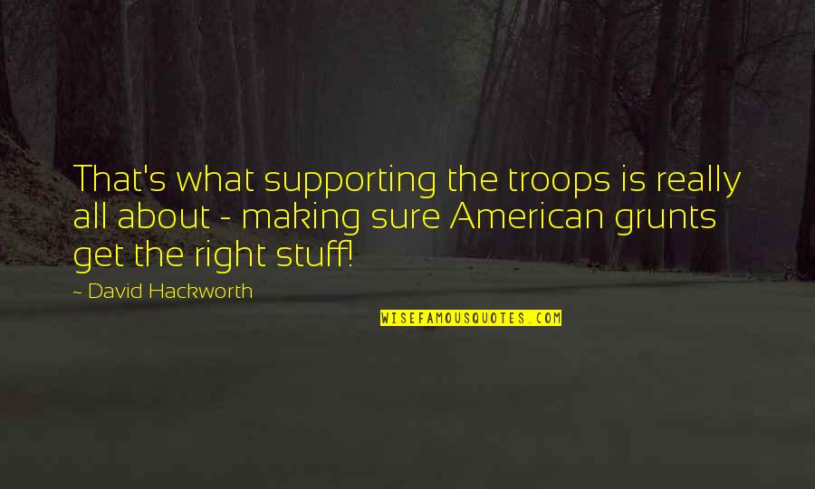 Vederl Gga Quotes By David Hackworth: That's what supporting the troops is really all