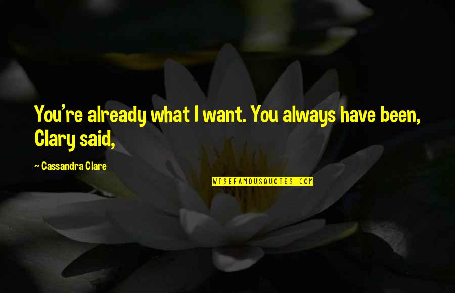 Vedi Quotes By Cassandra Clare: You're already what I want. You always have