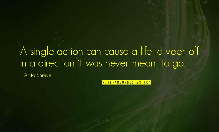 Veer Quotes By Anita Shreve: A single action can cause a life to Veer Quotes By Anita Shreve: A single action can cause a life to