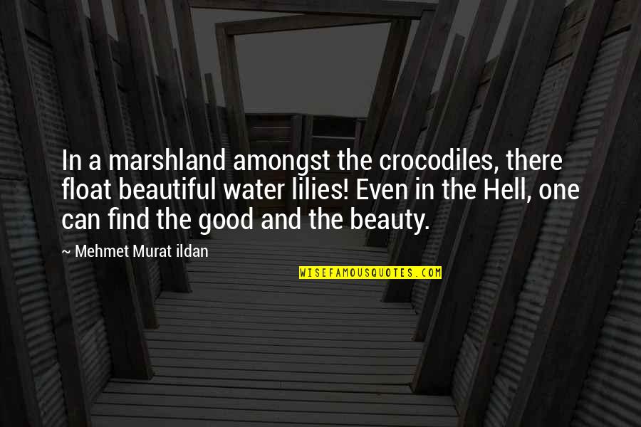 Veertig Sinkplate Quotes By Mehmet Murat Ildan: In a marshland amongst the crocodiles, there float