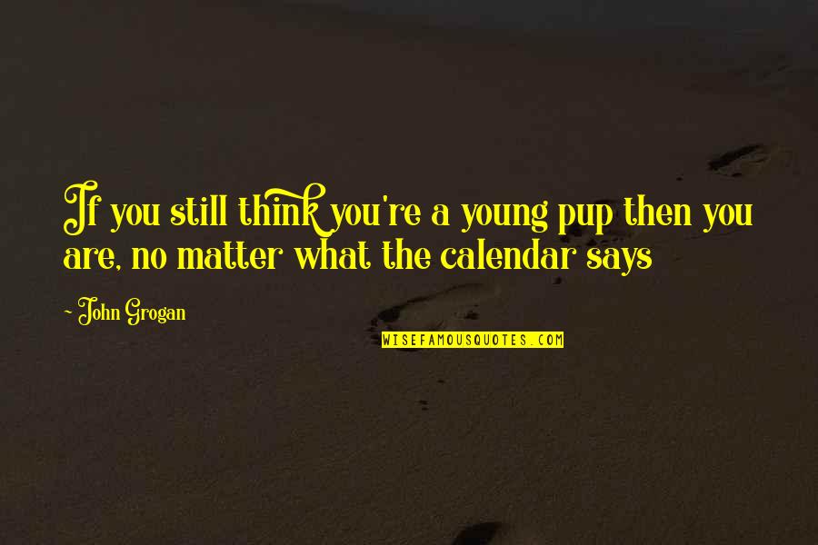 Vegetable Juice Quotes By John Grogan: If you still think you're a young pup
