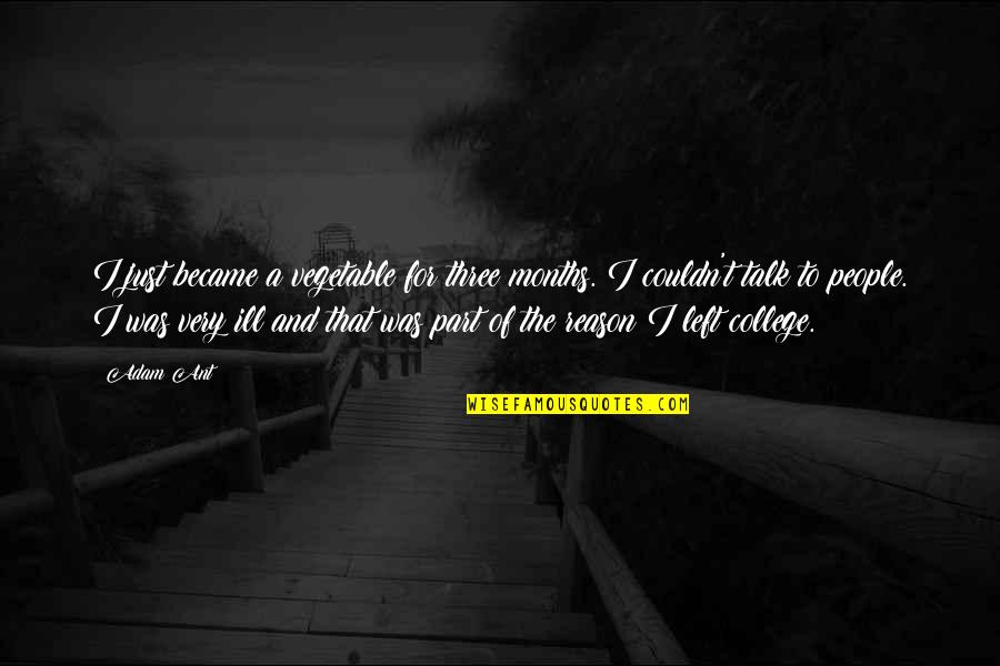 Vegetable Quotes By Adam Ant: I just became a vegetable for three months. Vegetable Quotes By Adam Ant: I just became a vegetable for three months.