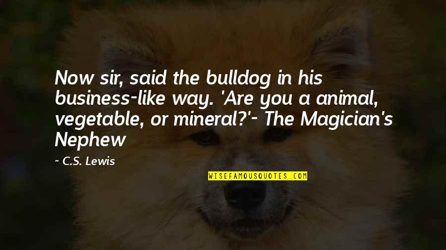 Vegetable Quotes By C.S. Lewis: Now sir, said the bulldog in his business-like