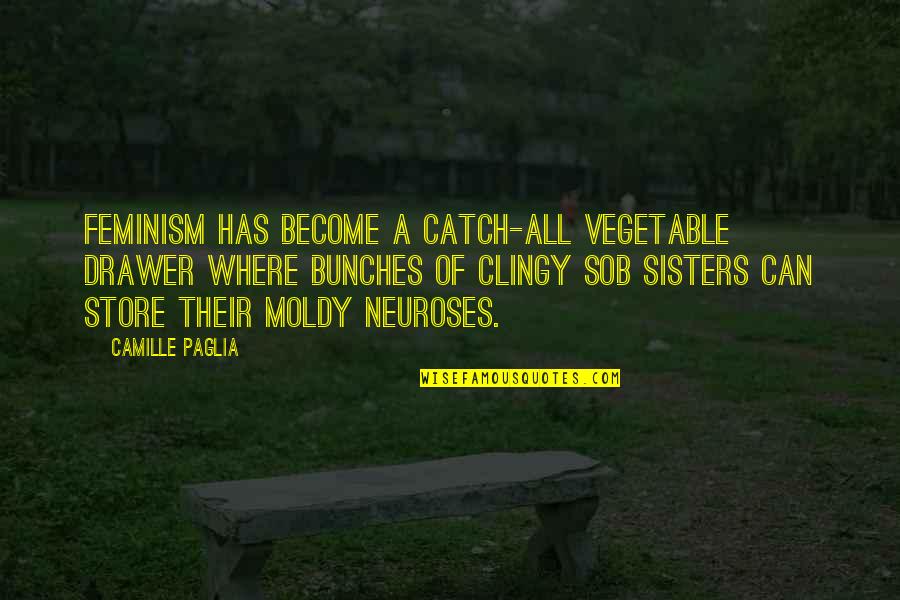 Vegetable Quotes By Camille Paglia: Feminism has become a catch-all vegetable drawer where