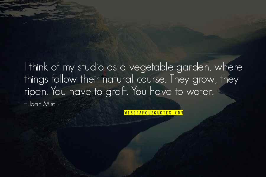 Vegetable Quotes By Joan Miro: I think of my studio as a vegetable