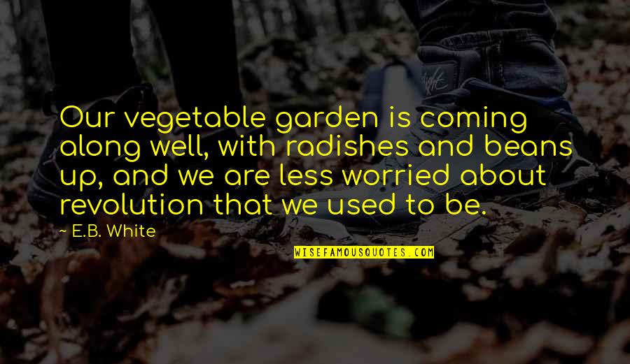 Vegetables Garden Quotes By E.B. White: Our vegetable garden is coming along well, with