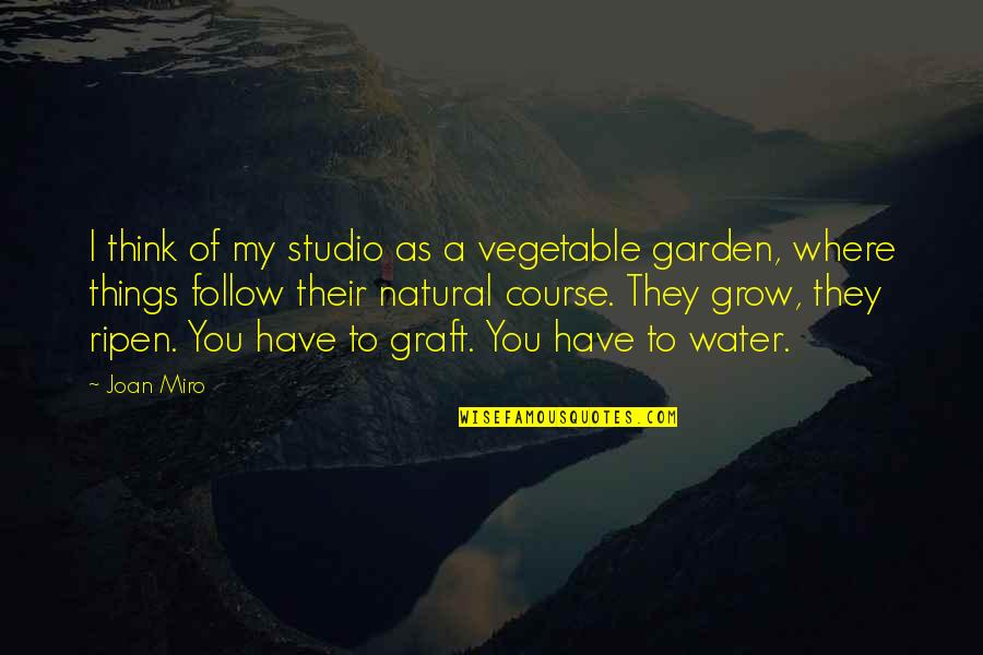 Vegetables Garden Quotes By Joan Miro: I think of my studio as a vegetable