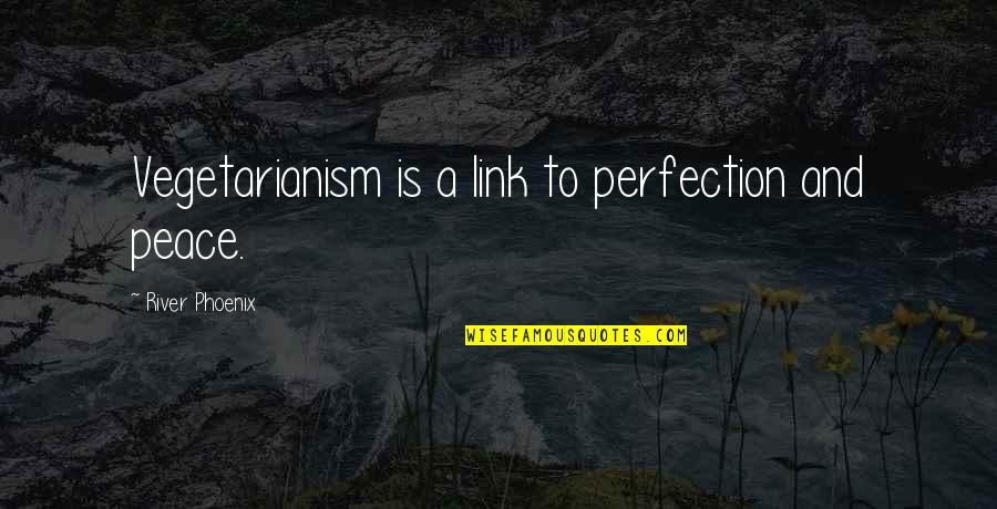 Vegetarianism Quotes By River Phoenix: Vegetarianism is a link to perfection and peace.