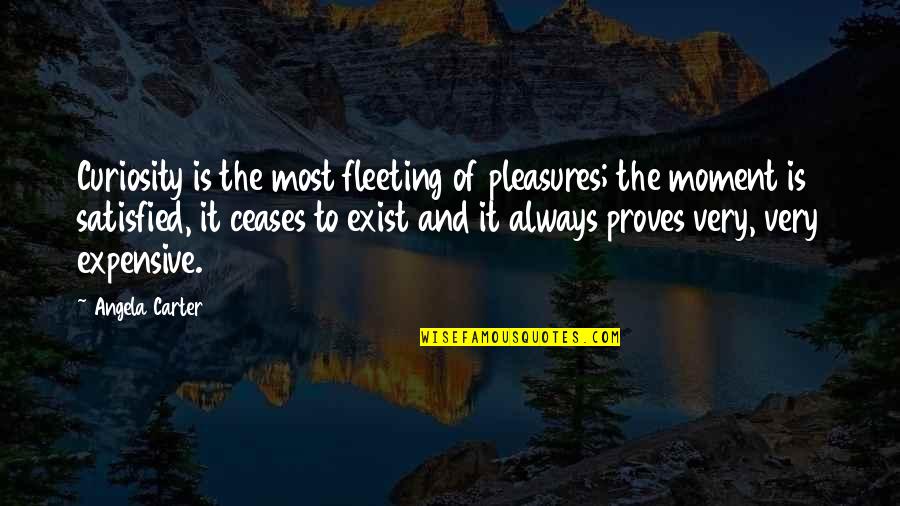 Vegetarianos Alimentos Quotes By Angela Carter: Curiosity is the most fleeting of pleasures; the