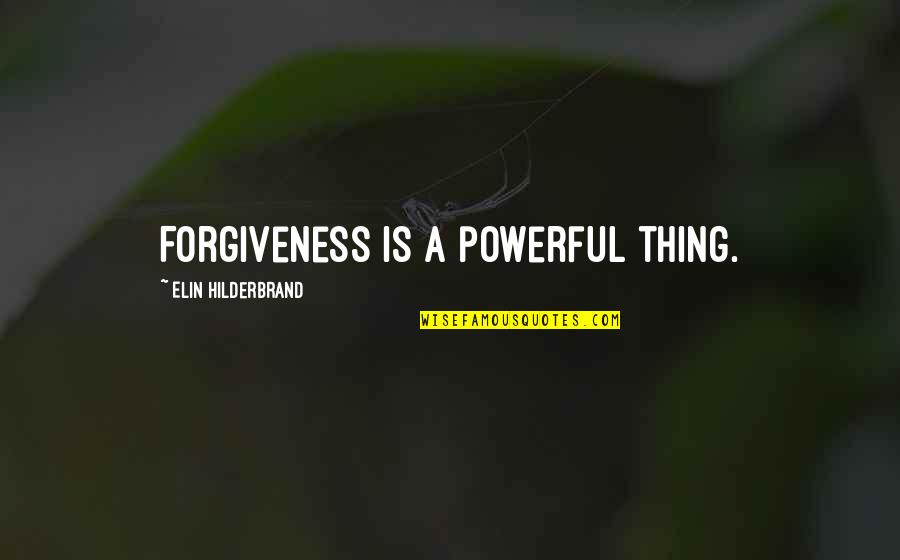 Vegnor Quotes By Elin Hilderbrand: Forgiveness is a powerful thing.