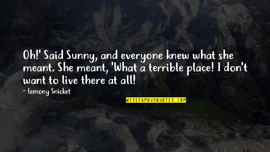 Vehiculos Hibridos Quotes By Lemony Snicket: Oh!' Said Sunny, and everyone knew what she