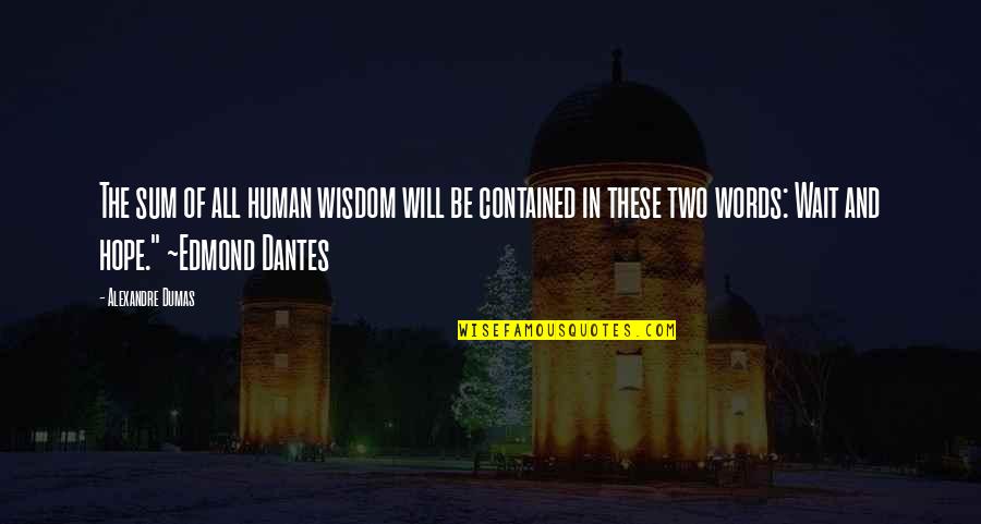 Veidas Vaizdai Quotes By Alexandre Dumas: The sum of all human wisdom will be